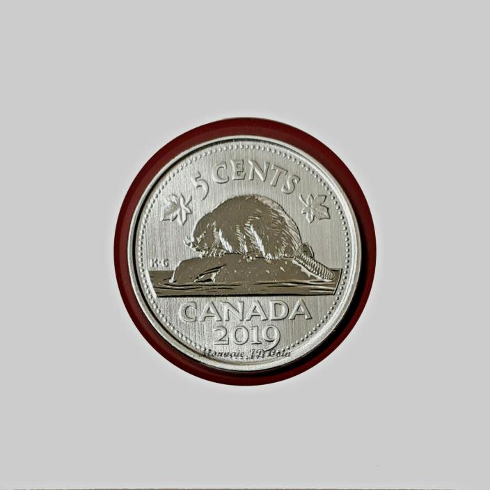 2019 Canada 5 Cent Specimen From Set