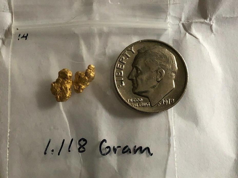 1 Gram Natural Alaska Gold Flakes /. nuggets natural  gold  1.118 gram