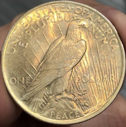 1923 Peace Dollar toned!!