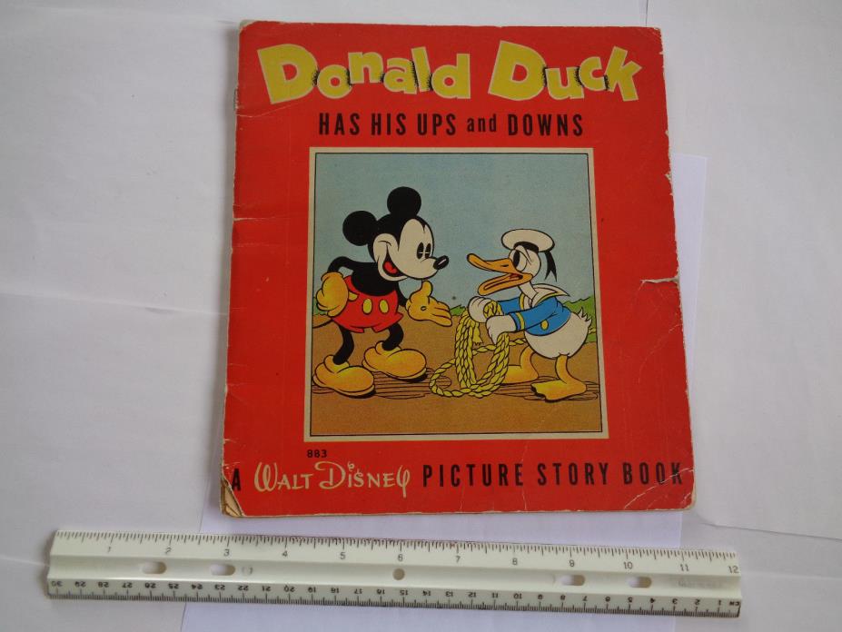 Disney Picture Story Book 