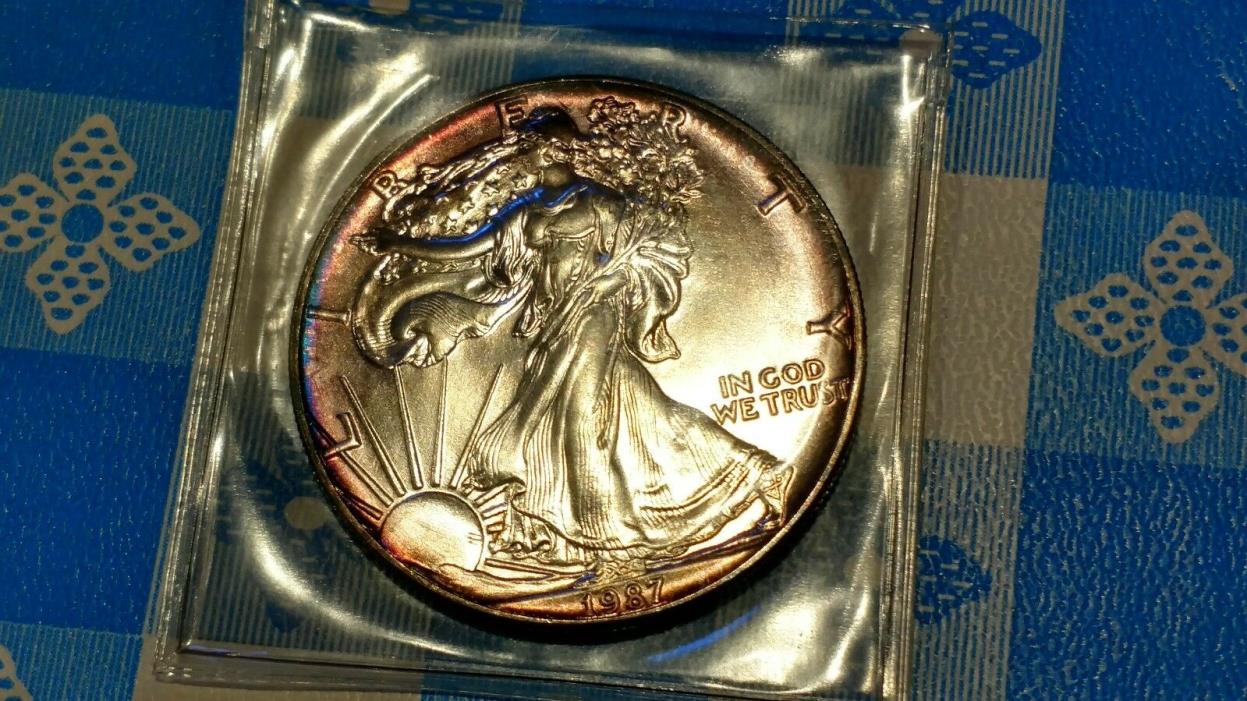1987 American Silver Eagle One Dollar Coin with Stunning Toning