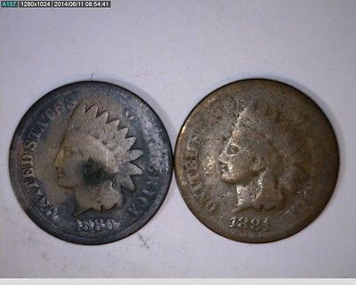 1880 & 1881 Indian Head Cents ( # 81s69 )