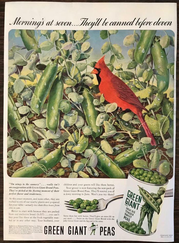 ORIGINAL Green Giant Great Big Tender Sweet Peas Print Ad Cardinal Perched Bush