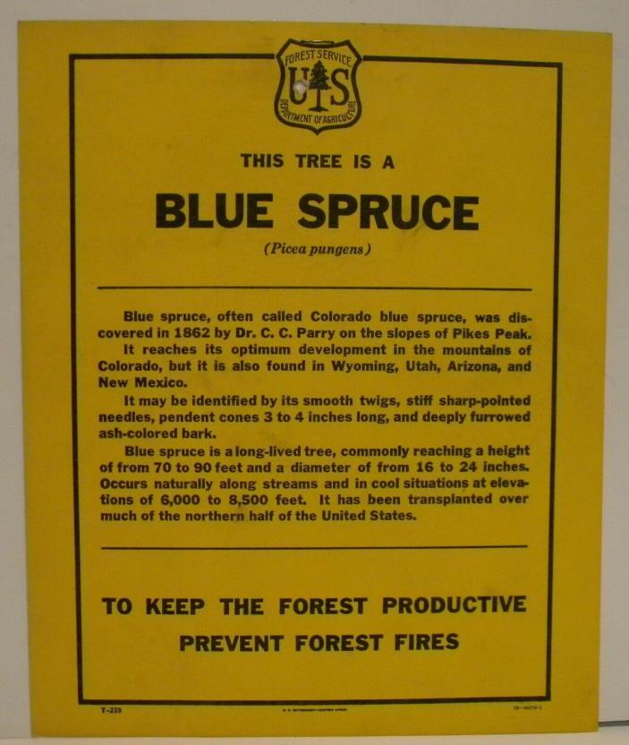 Old Forest Service Identification TREE Sign BLUE SPRUCE