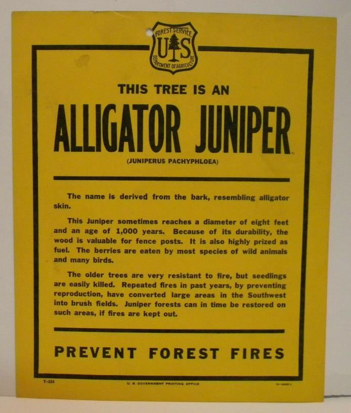 Old Forest Service Identification TREE Sign ALLIGATOR JUNIPER