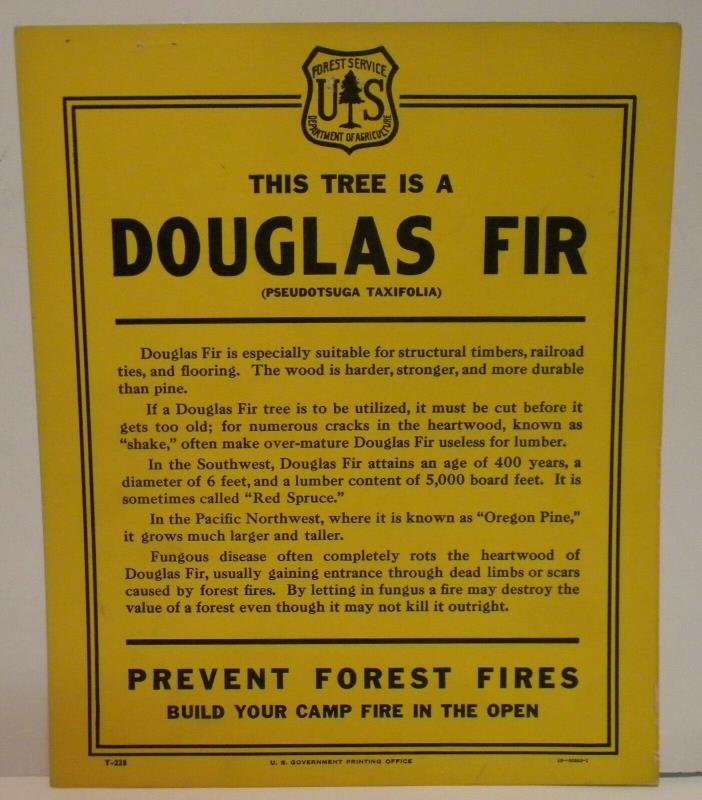 Old Forest Service  Identification TREE Sign DOUGLAS FIR