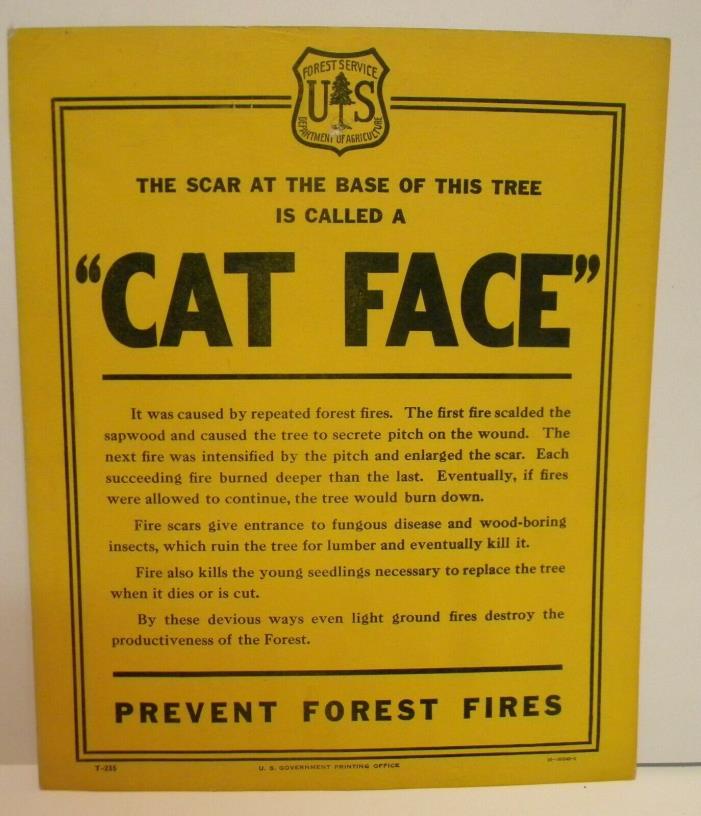 Old Forest Service Identification TREE Sign CAT FACE