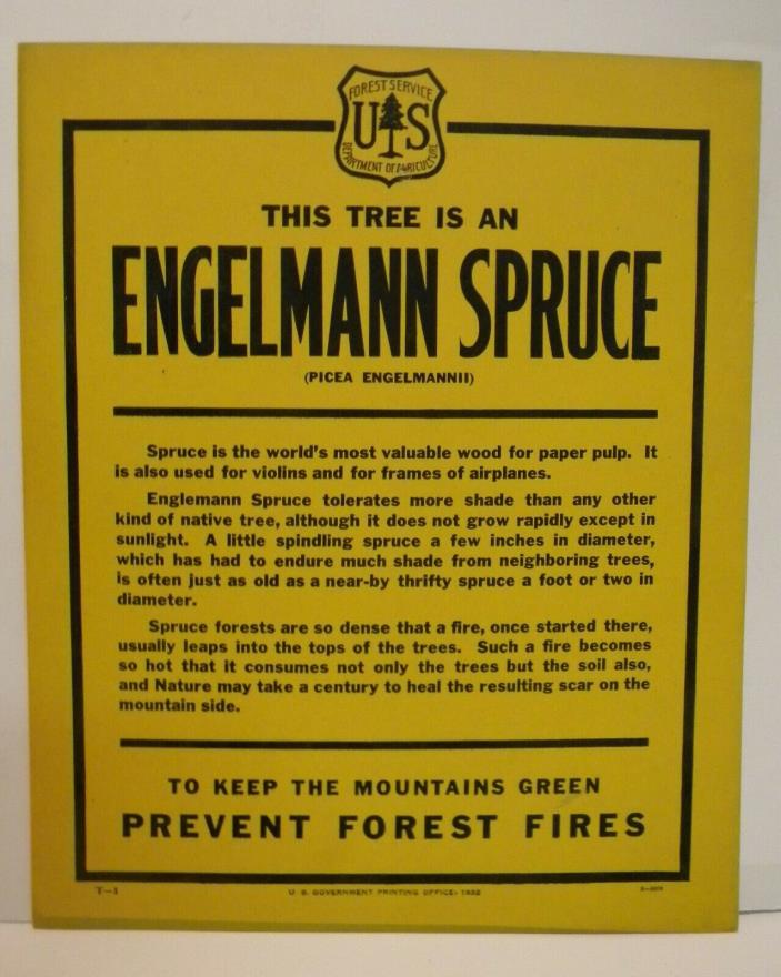 Old 1932 Forest Service  Identification TREE Sign ENGELMANN SPRUCE