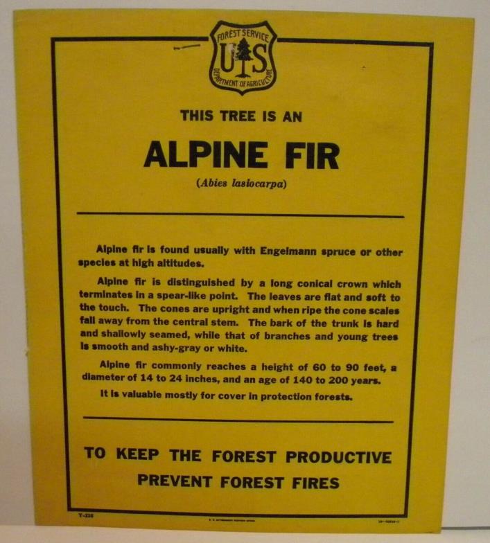 Old Forest Service  Identification TREE Sign ALPINE FIR