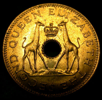 1964 Rhodesia & Nyasaland Half Penny RARE TWIN GIRAFFES Coin GREAT SHAPE!!!