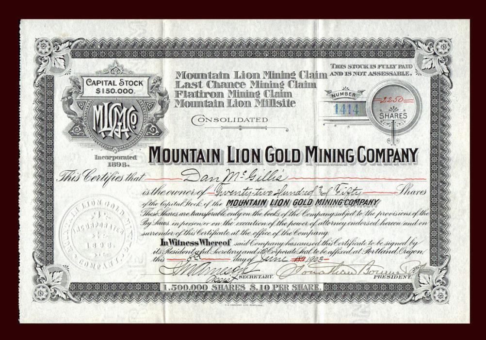 1903 WASHINGTON Mountain Lion Gold Mining Co Stock Certificate REPUBLIC DISTRICT