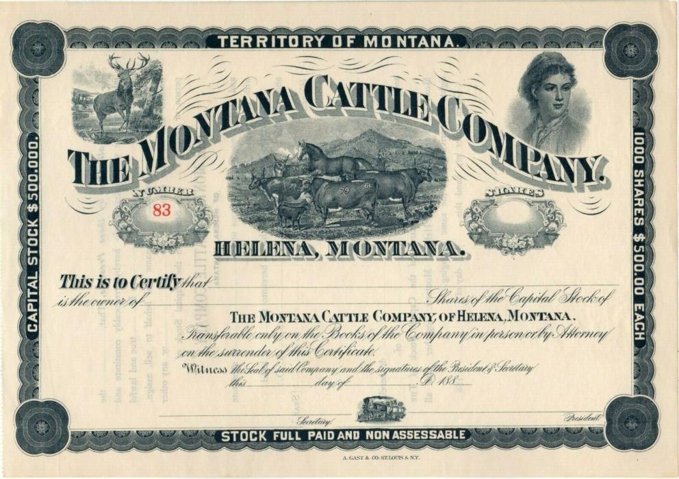 The Montana Cattle Company of Helena, Montana 188x unissued Stock Certificate