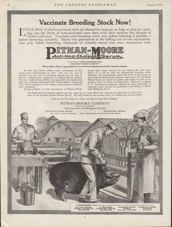 1916 PITMAN MOORE ANTI HOG CHOLERA SERUM FARM PIG SWINE VETERINARIAN 19110