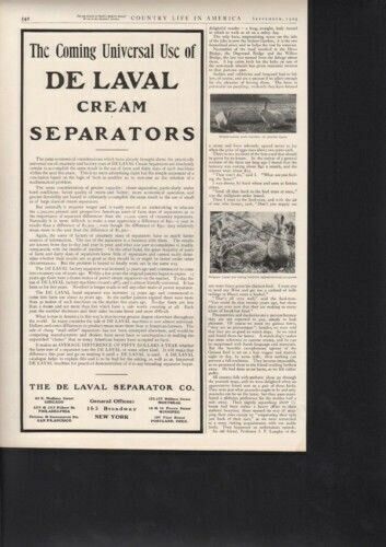 1909 DE LAVAL CREAM SEPARATORS DIARY COW FARM MILK WORK13470