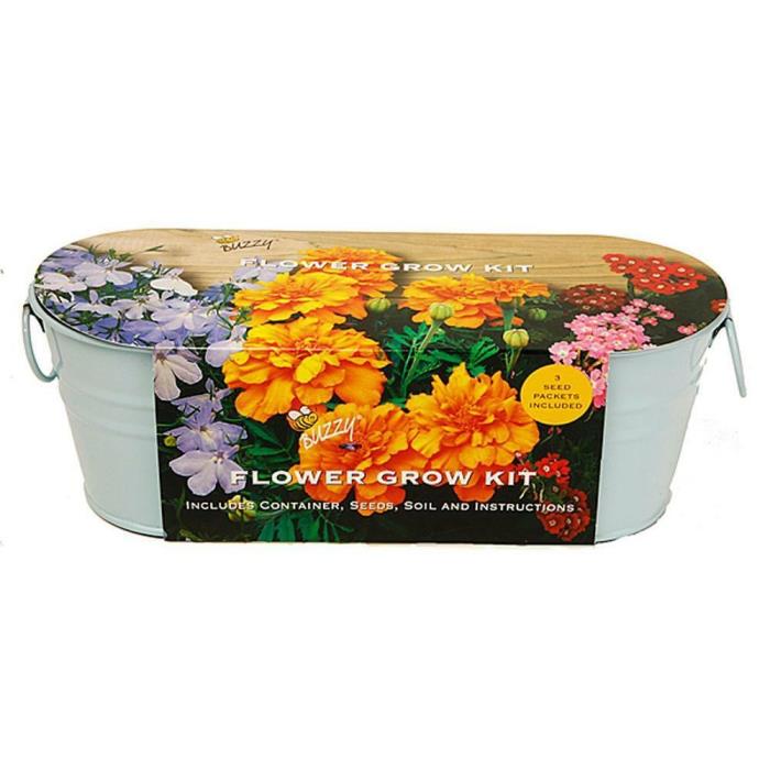 BUZZY FLOWER WINDOWSILL METAL CONTAINER GROW KIT (Marigold, Verbena, Lobelia)