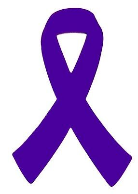 Purple Ribbon Car Magnet Pancreatic Cancer Crohn's Awareness Refrigerator New