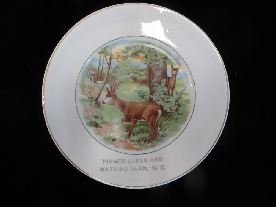 Vintage Advertising Plate - Finger Lakes and Watkins Glen, N.Y. - NY