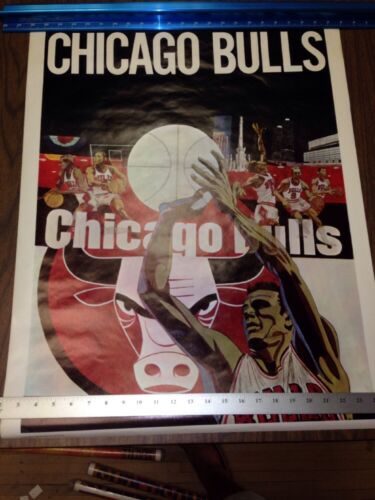 Vintage Rare 1969 Chicago Bulls Poster Bendelow & Associates Rare