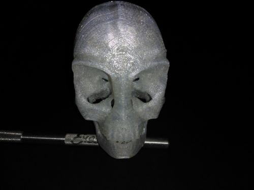 3D Printed Elongated Skull