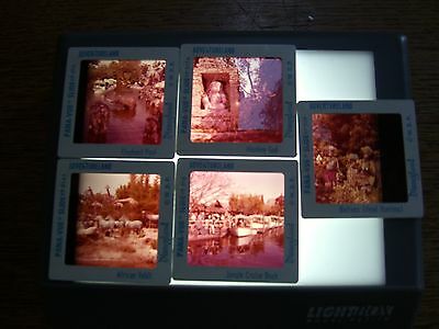 DISNEYLAND-OFFICIAL PANA VUE 5 SLIDE LOT-ADVENTURELAND-HEAD HUNTERS-AFRICA 60'S