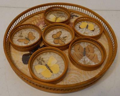 VINTAGE WOOD AND PLASTIC BUTTERPLY DESIGN 6 COASTER AND TRAY SET