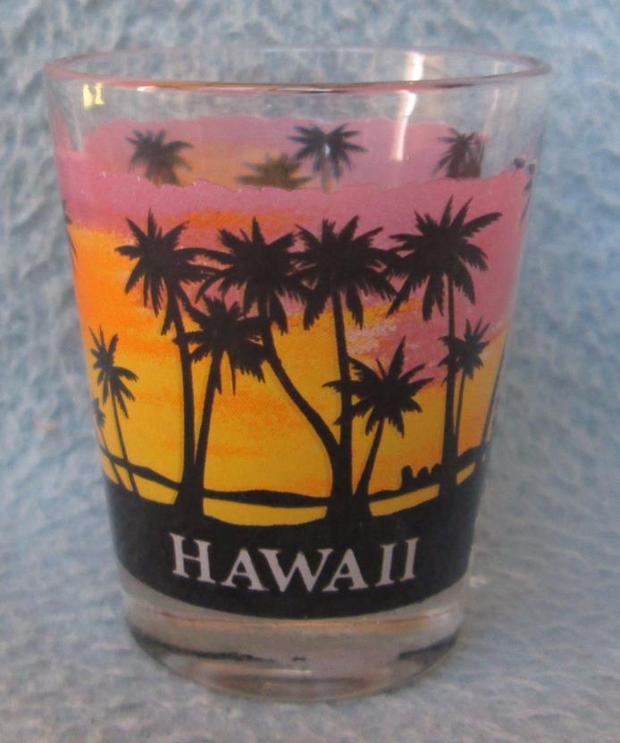 Hawaii Souvenir Shot Glass a