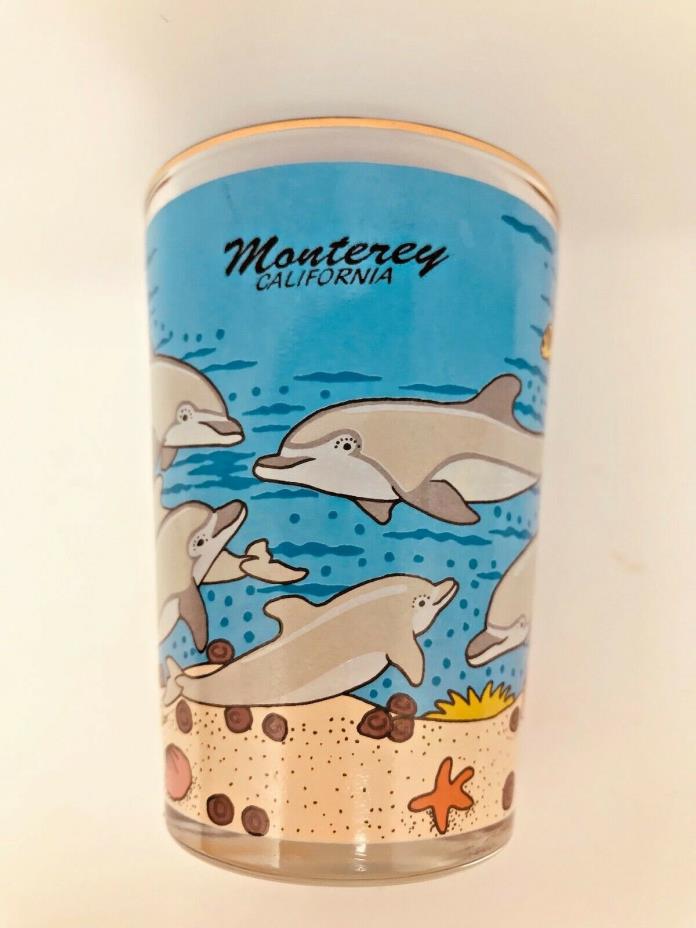 Beautiful Monterey California Seascape 4 oz Taster / Large Shooter Shot Glass