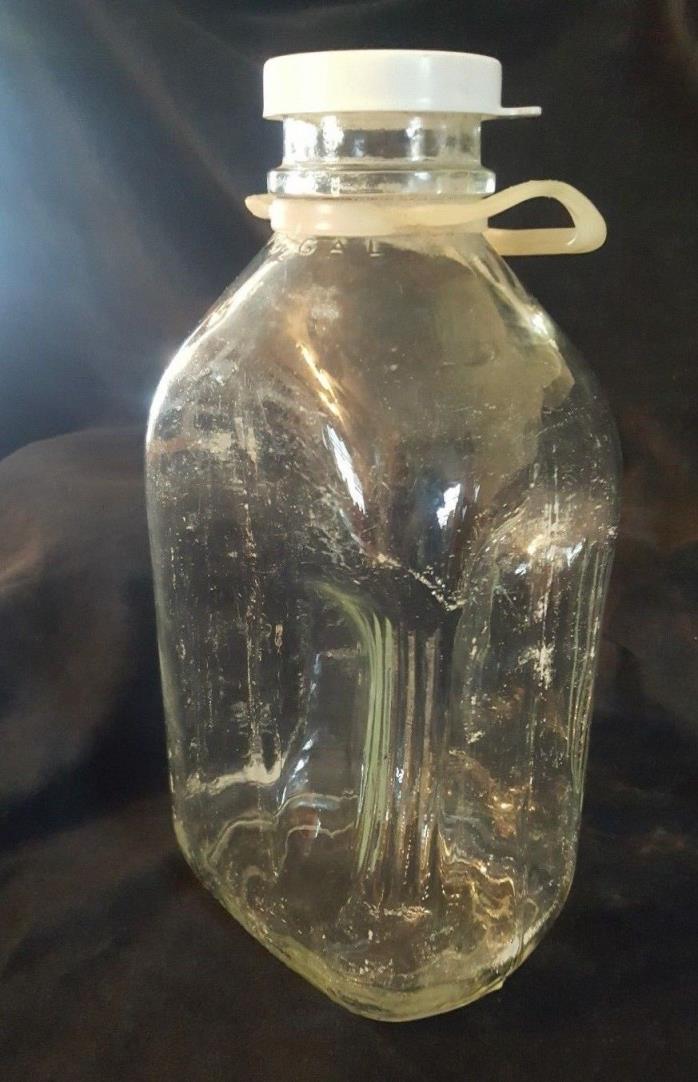 Vtg Clear Glass 1/2 Gallon Liquid Milk Bottle w/ Handle & Lid - REG. SEALED OBO