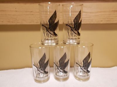 5 Labrador Goose bird Collins Old Fashioned drink glass bar pub silver rim 8 oz