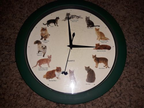 CAT KITTEN WALL CLOCK. MEOWING CAT SOUNDS ON THE HOUR PURRRRFECT