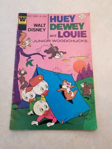 Huey Dewey and Louie Junior Woodchucks #43 1977 Comic Book