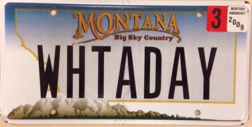 MT vanity WHAT A DAY license plate Song Wedding Idiom Disaster Disappointed