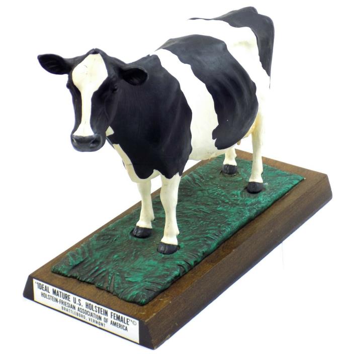 Holstein Friesian Association Of America Ideal Mature Holstein Female Cow Figure