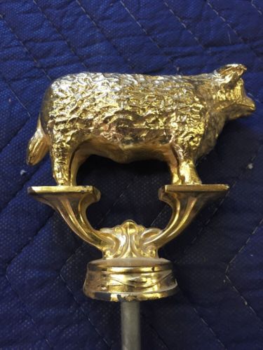 hereford cow trophy part