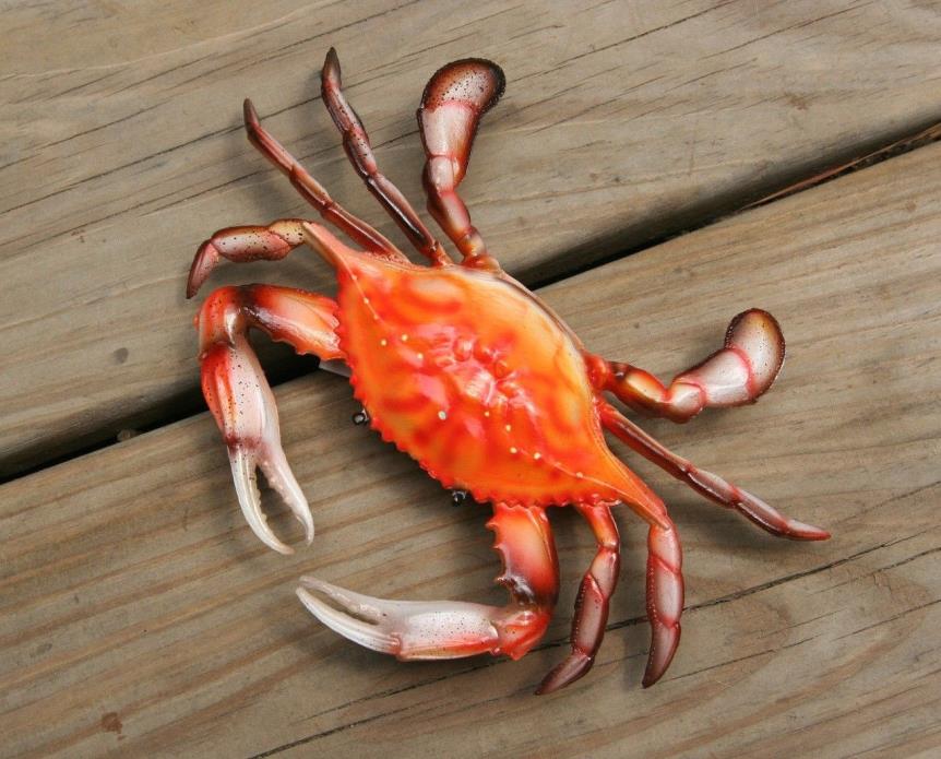(5) Realistic Steamed Crab Replicas, 3-D Moisture Resistant, 6 inch each, 5 pcs