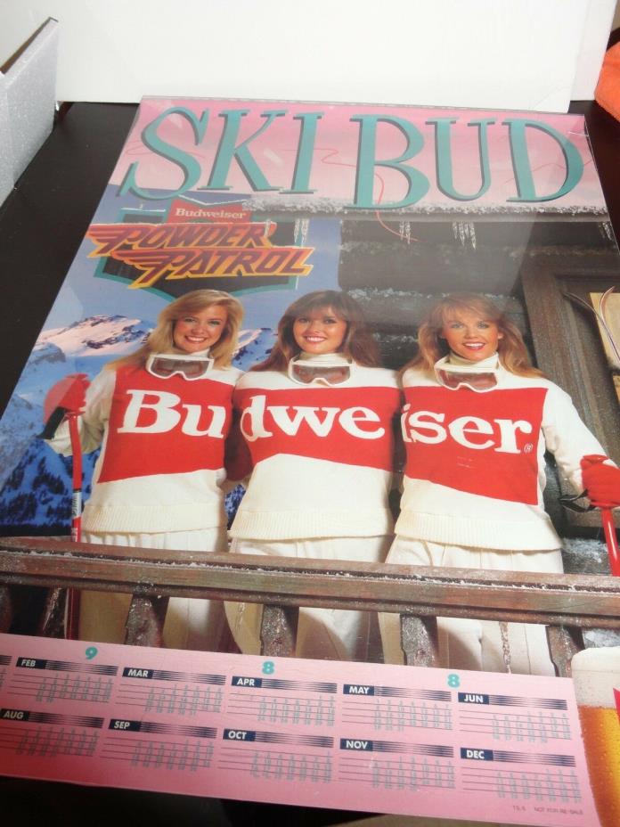 Rare Vintage Budweiser Ski Bud Powder Patrol model poster 1988 20 x 28