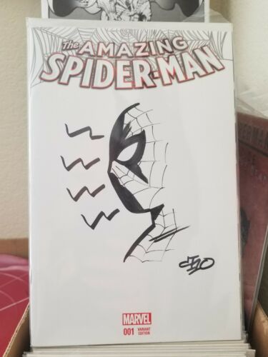 Michael Cho Spider-Man Commission Sketch Cover Original Art Amazing Spider-Man 1
