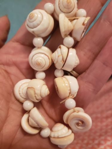 Curly Spiral Shell Bracelet