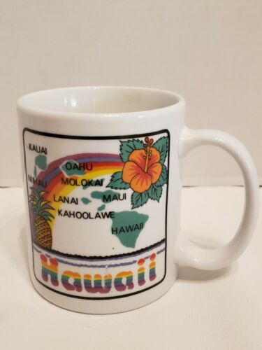 Hawaii Mug 2 Souvenir Mugs Multicolor Coffee Mugs