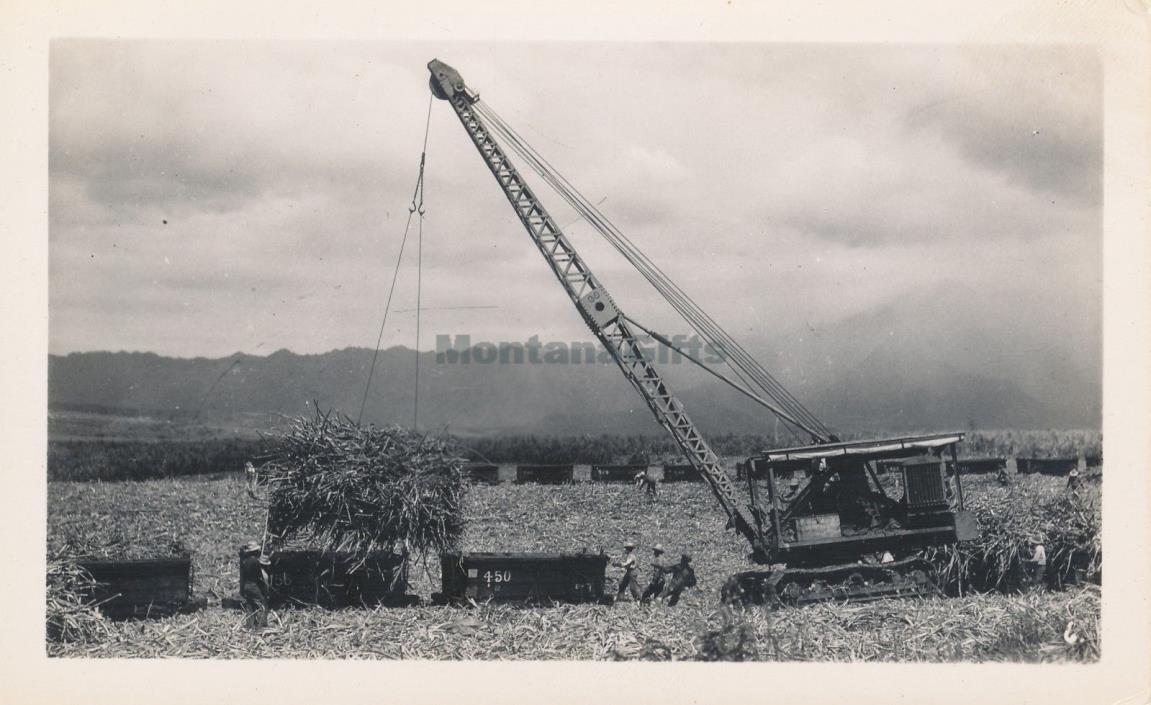 1940s sugar cane crane loading sugar cane train Hawaii Photo