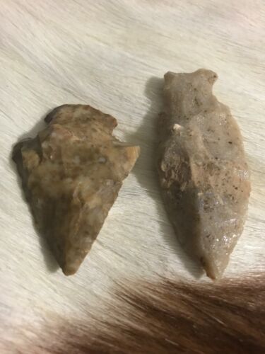 AWESOME Native American artifact arrowheads SE MO (2)Ships USPS