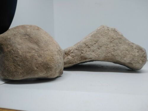 Native American Indian Stone took grindstone & handtool