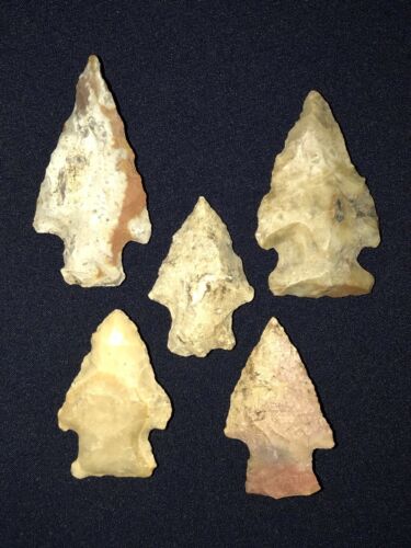 Colorful Group Of 5 Louisiana Corner Notch Points