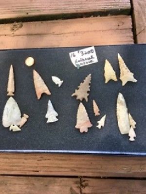 ozark arrowhead collection Hathcock/Wallace 16 arrowheads