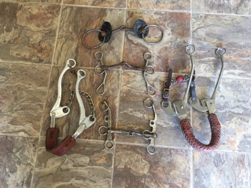 Horse Bits Lot Of 5