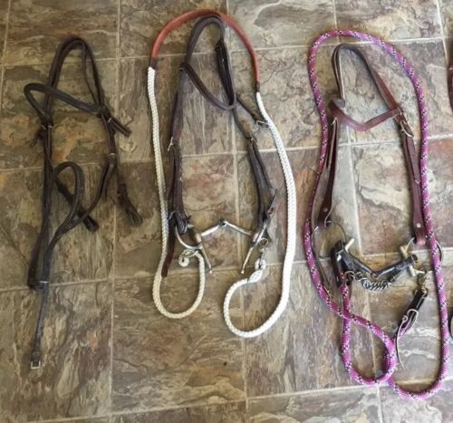 Bridles With Bits And Reigns