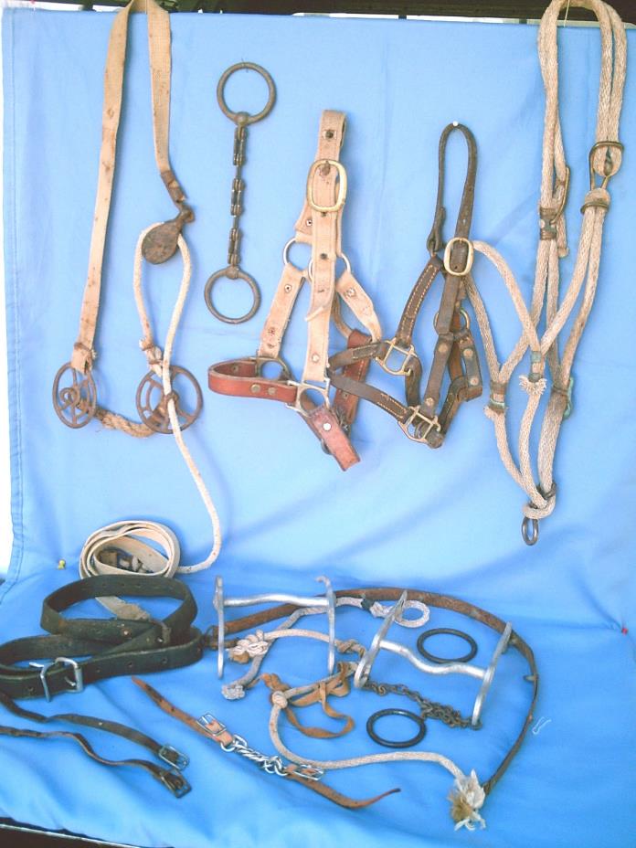 ESTATE LOT of 13 Old Western Horse Tack Bridles Parts Home Decor Folk Art Crafts