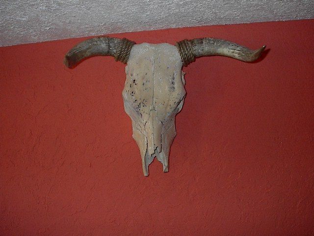 BROOKS & DUNN MOUNTED BULL COW HEAD HORN LONGHORN bones