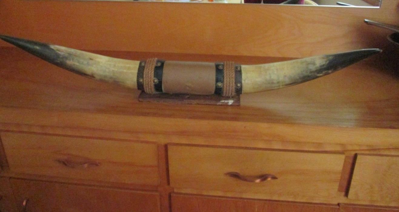 Vintage Mounted Bull Horns Steer Cattle Cow 32