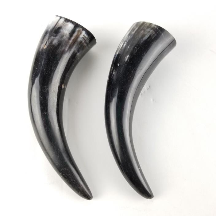 Polished Steer Cow Horn Lot of 2 Black Natural Markings Curved Taxidermy Crafts